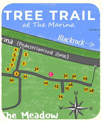 Lets Play Miniature Puppet Image 1